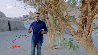 لماذا مات المسيح